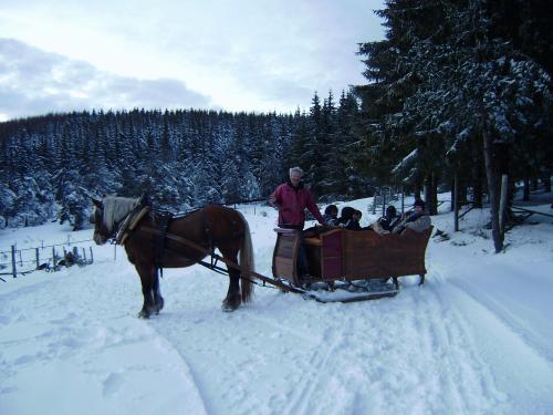 Traineau Parc à Bisons