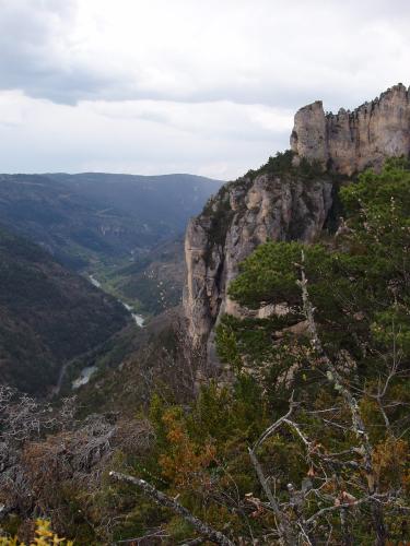 Gorge du Tarn