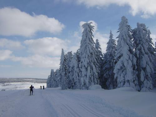 ski de fond